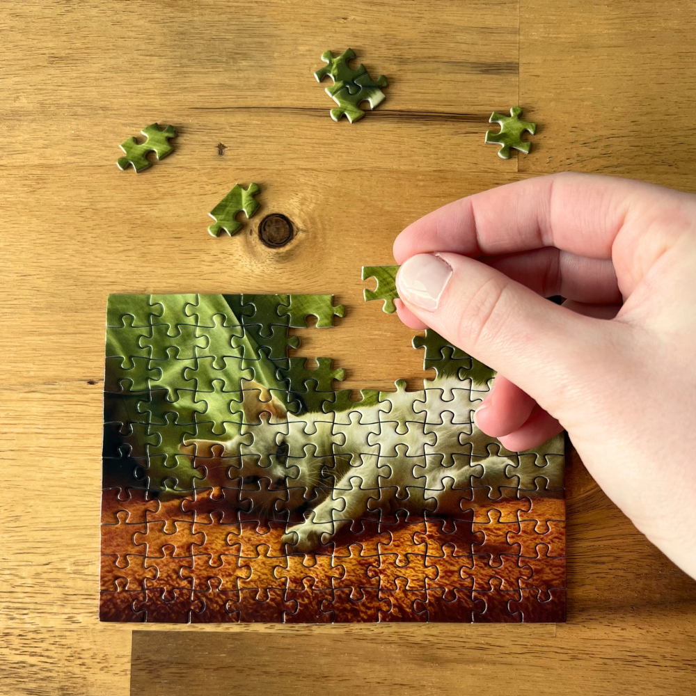 Pack - 3 mini puzzles