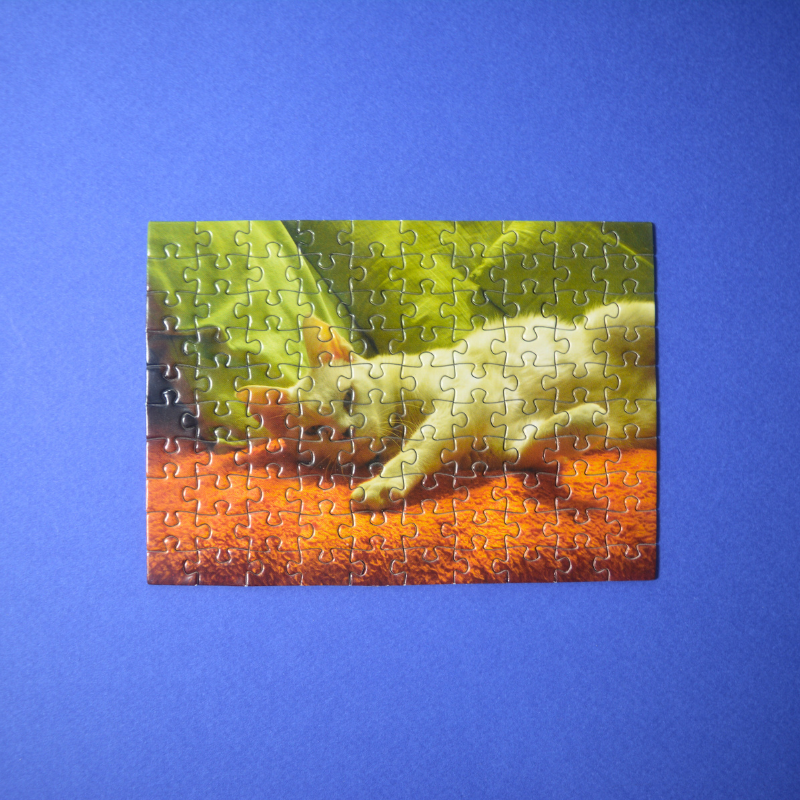 Velours - Mini puzzle 100 pièces